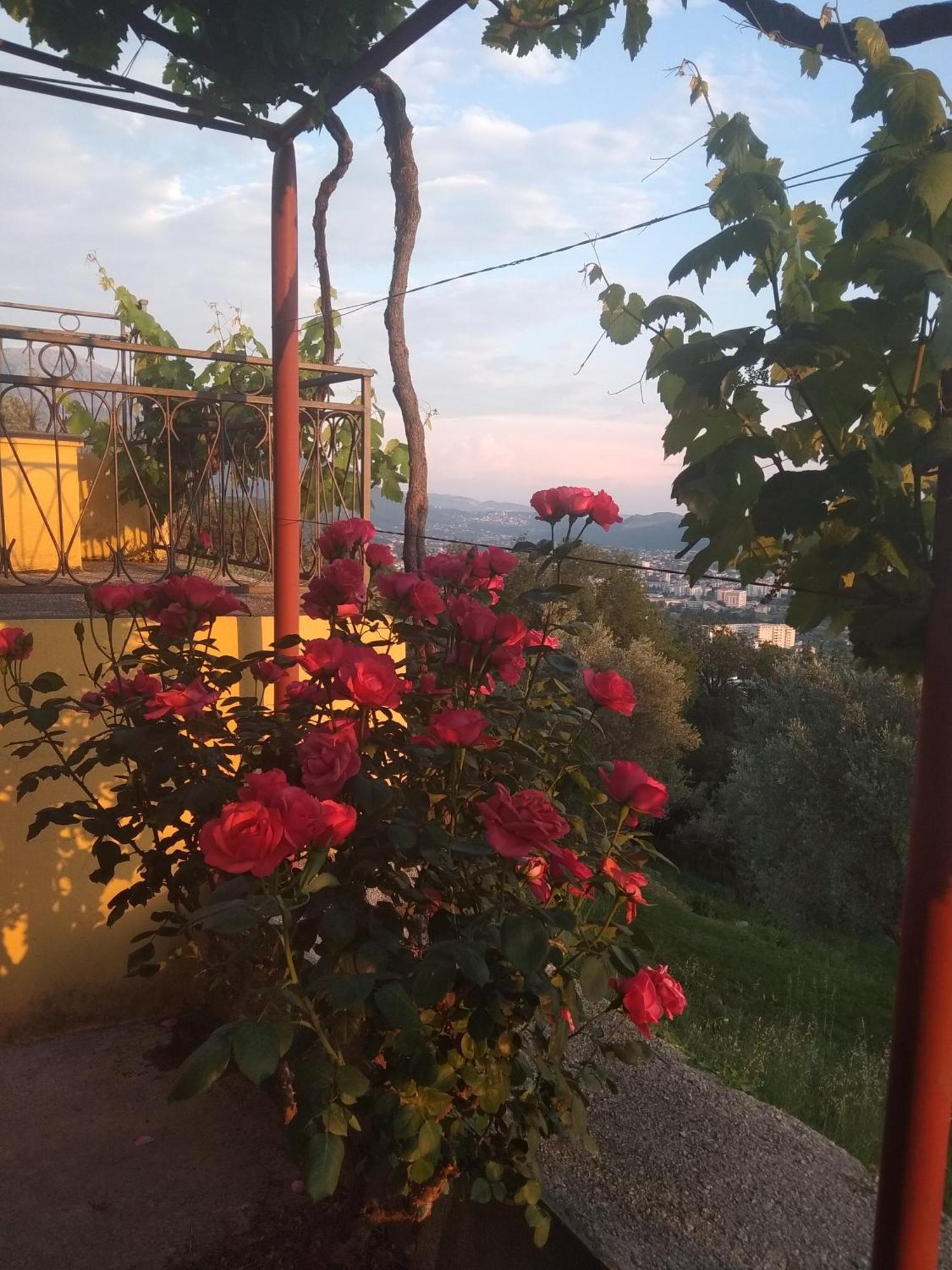 Apartman "Marko" Bar Luaran gambar
